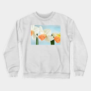 Narcissus  &#39;Pink Charm&#39;  Div.  2 Large-cupped]]Daffodil Crewneck Sweatshirt